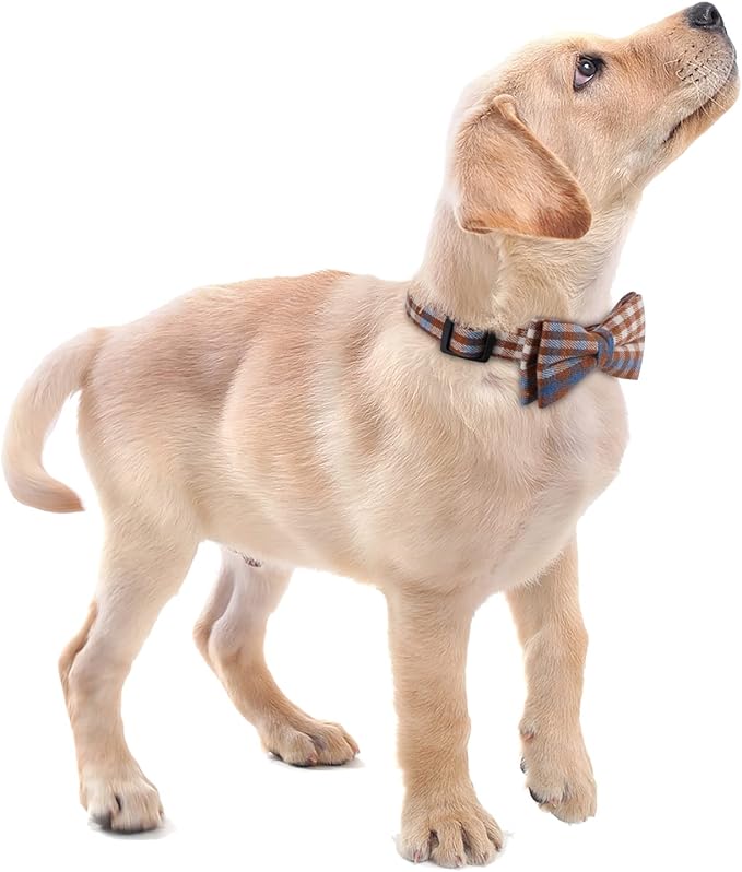 Faleela Soft &Comfy Bowtie Dog Collar,Detachable and Adjustable Bow Tie Collar,for Small Medium Large Pet (Large(Pack of 1), Blue and Whit)