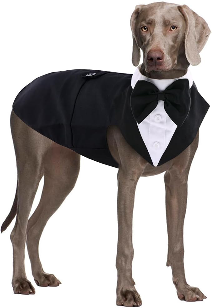 QBLEEV Tuxedo for Large Dogs, Suit and Bandana Set, Wedding Outfit With Bow Tie, Formal Tux Costume for Halloween, Christmas, Birthday Party, Cosplay, Black 2XL