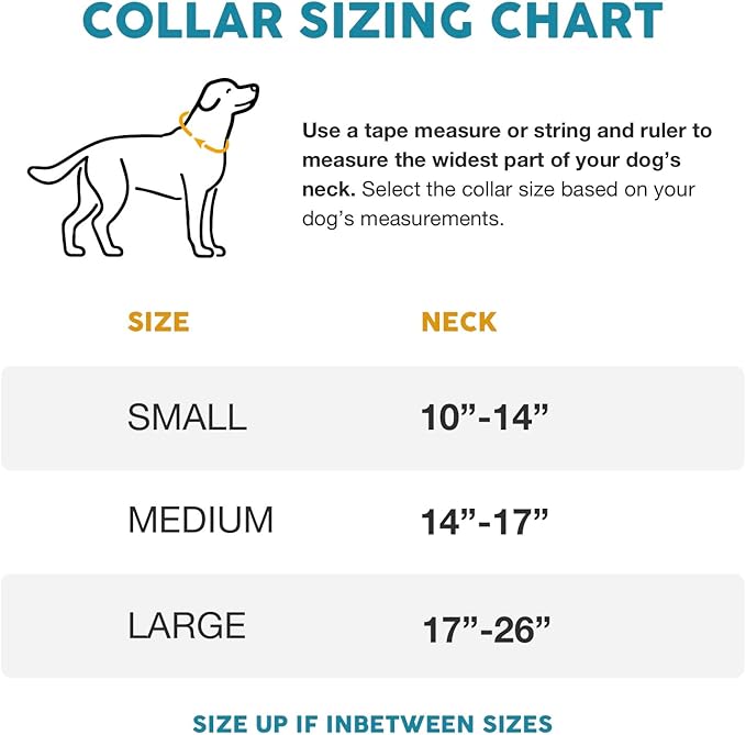 Embark Adventure Dog Collar – Stylish & Durable Nylon Dog Collars for Large Dogs, Comfortable Pet Collar, Collars for Large Breed Dogs with Strong Buckles. Adjustable Big Dog Collars for Large Dogs