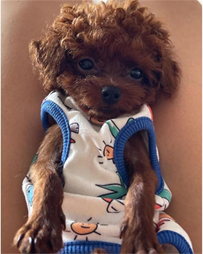 Dog Clothes Puppy Cute Dinosaur Shirt Pet Cotton Shirt Dog Vest Cat Clothes Dogs Boy Girl T Shirts for Small Dog Cat Teacup Chihuahua Yorkie (Dino Vest, X-Large)