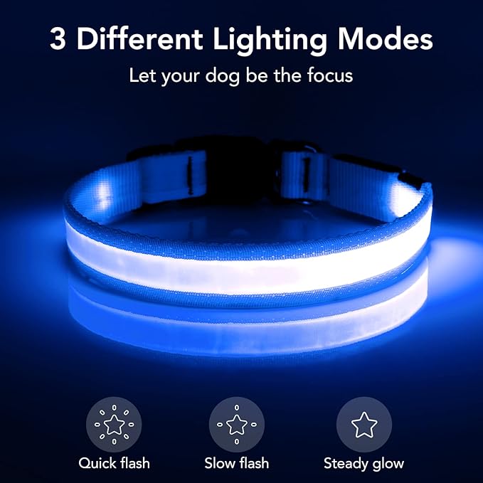 Vizpet LED Dog Collar, Light Up Dog Collar Adjustable USB Rechargeable Super Bright Safety Light Glowing Collars for Dog(Large,Blue)