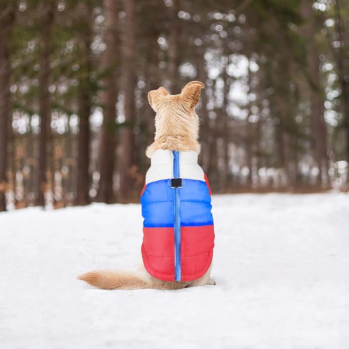 Idepet Pet Dog Cat Coat with Leash Anchor Color Patchwork Padded Puppy Vest Jacket Teddy Chihuahua Costumes Pug Cloth XS S M L (Small, Red)