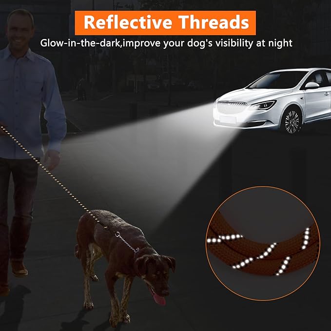 NTR 100FT Leash for Large Breed Dog, Long Leash with Swivel Lockable Hook, Padded Handle and Highly Reflective Thread, Pet Lead for Walking, Hunting,Camping, Backyard for Small Medium Large Dog