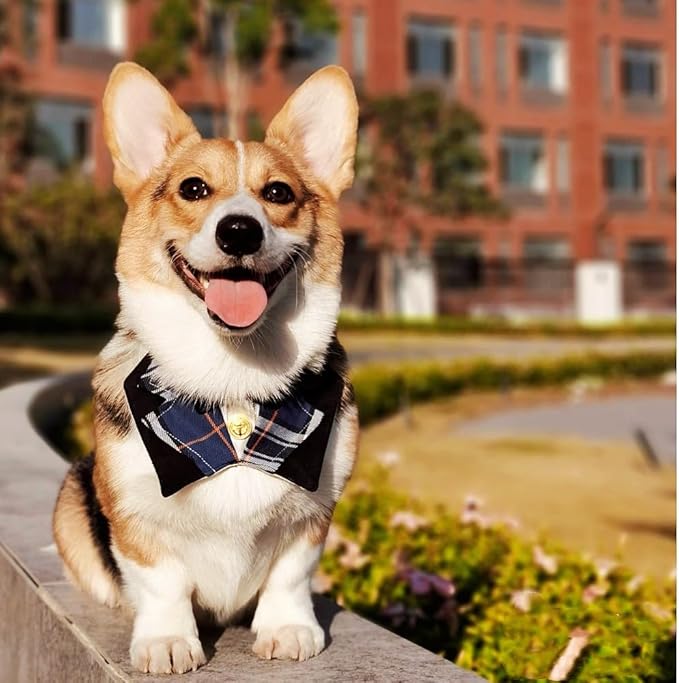 Dog Tuxedo Formal Cat Wedding Bandana Collar with Bow Tie Cat Birthday Costume Dog Wedding Attire Valentines Outfit Pet Gentlemen Sunglasses (Black)