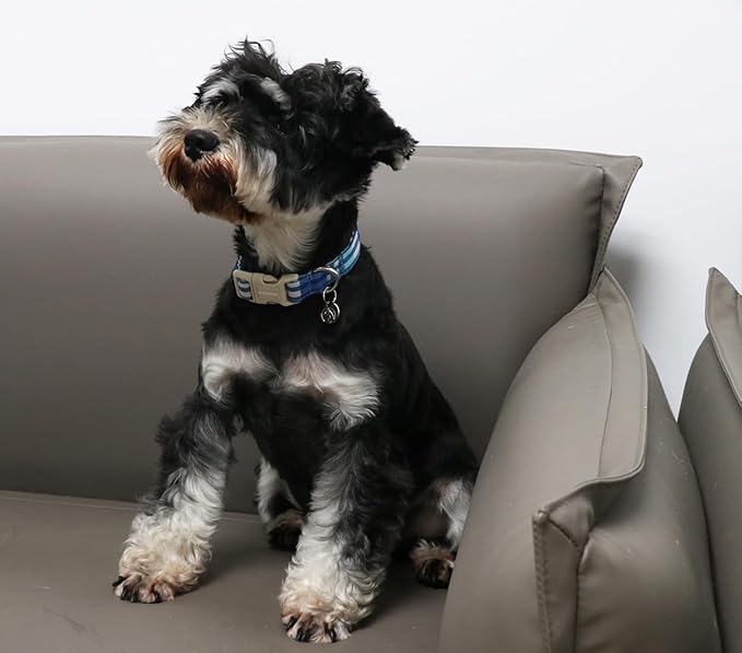 DOGWONG Cotton Dog Collar, Blue Plaid Heavy-Duty Dog Collar Durable Soft Boy Dog Collar Cute Wedding Puppy Necklace for Small Medium Large Dog