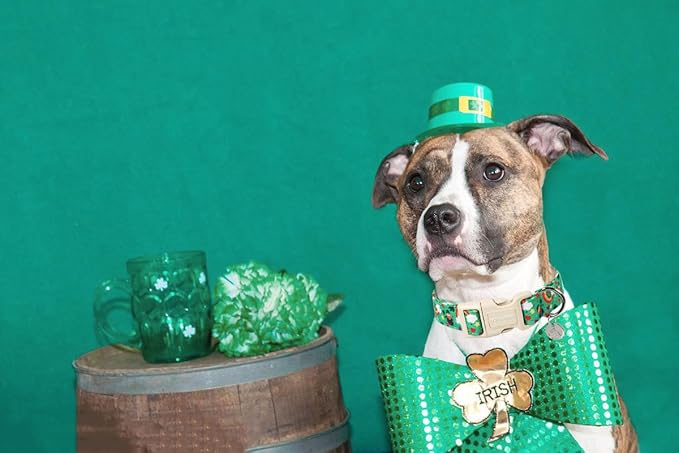 DOGWONG St. Patrick's Day Dog Collar, Lucky Clover Shamrock Green, Small, Soft Durable Adjustable Costume, Breakaway Closure