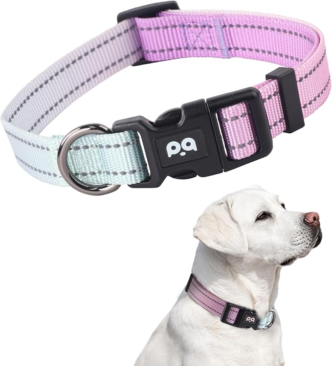 Dog Collar Cute Flower, Reflective Adjustable Basic Collars for Girl Female Small Medium Large Dogs Walking Running(Small,Purple Blue)