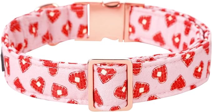 Lionet Paws Valentine Dog Collar, Heavy-Duty Cute Red Heart Pattern Collar with Metal Buckle Pet for Medium Large Dogs, Neck 16-24 inches