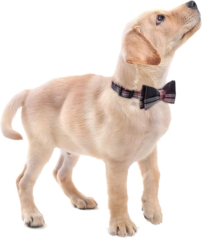 Faleela Soft &Comfy Bowtie Dog Collar,Detachable and Adjustable Bow Tie Collar,for Small Medium Large Pet (Red and White, Large(Pack of 1))