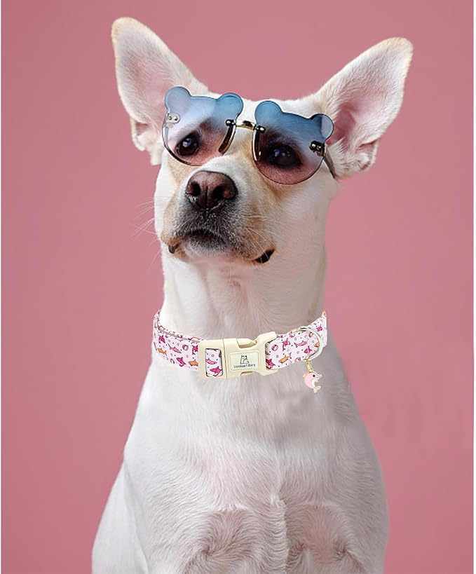 Lionheart Glory Pink Shark Pattern Cute Dog Collar - Adjustable, Durable for Small Dogs