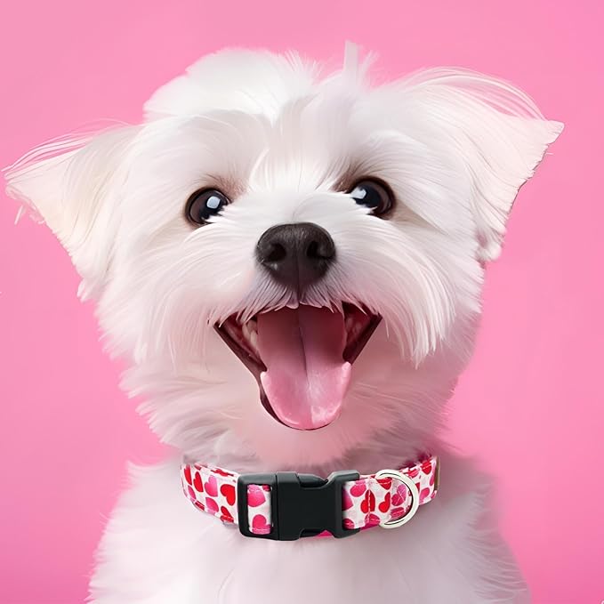 Tunkoo Valentine's Day Dog Collar, Cute Adjustable Heart Collar for Boy and Girl Dogs, Dog Collar with Strong Plastic Buckle - for Small Medium Large Pets, S