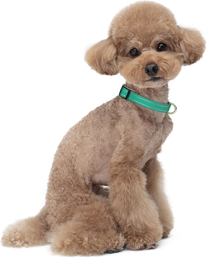 Reflective Dog Collar for Small Dogs Cats, Cute Adjustable Heavy-Duty Nylon Puppy Collars for Boy and Girl Female, Soft Pet Accessories with Quick Release Buckle, Neck 10-16", Green