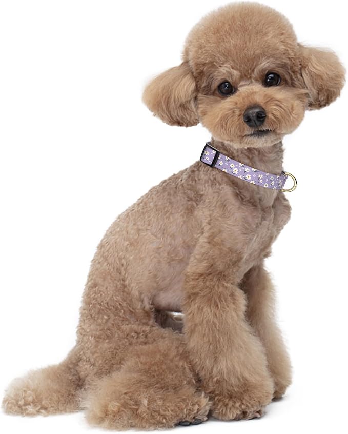 Reflective Dog Collar for Small Dogs, Cute Flower Theme Adjustable Heavy-Duty Nylon Puppy Collar for Boy and Girl Female, Soft Pet Accessories with Quick Release Buckle, Purple White