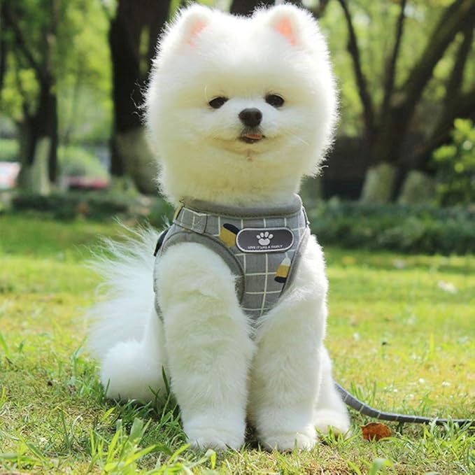 FEimaX Dog Harness and Leash Set, No-Pull Breathable Soft Mesh Puppy Vest Harness Reflective Adjustable Pet Harnesses for Small Medium Dogs and Cats - Outdoor Easy Control for Walking