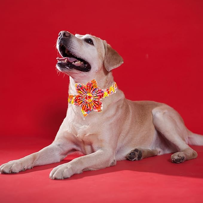 Elegant Little Tail Girl Dog Collar with Flower - Summer Flower Collar for Small to Large Dogs