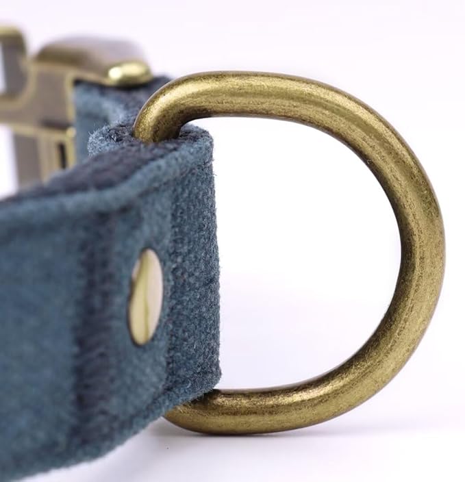 PET ARTIST Dog Collars for Small Dogs, Heavy Duty Dog Collar with Quick Release Metal Buckle, Soft Padded Nylon, Durable & Adjustable for Boy Gifts, Blue, S (Fit 10-16")