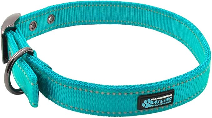 Max and Neo MAX Reflective Metal Buckle Dog Collar - Medium, Teal