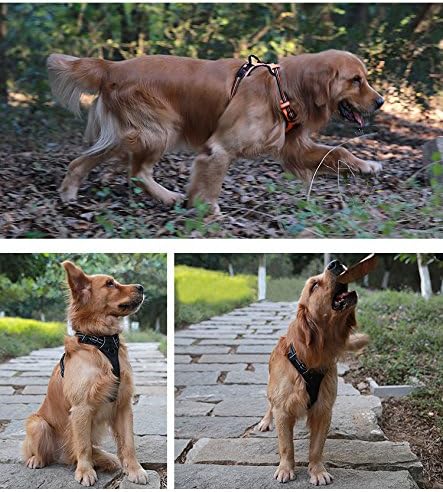 Soft Front Dog Harness .Best Reflective No Pull Harness with Handle and 2 Leash Attachments Orange
