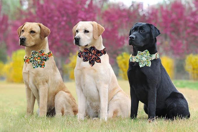 Lionheart Glory Cute Lemon Floral Pattern Adjustable Dog Collar for Medium Dogs