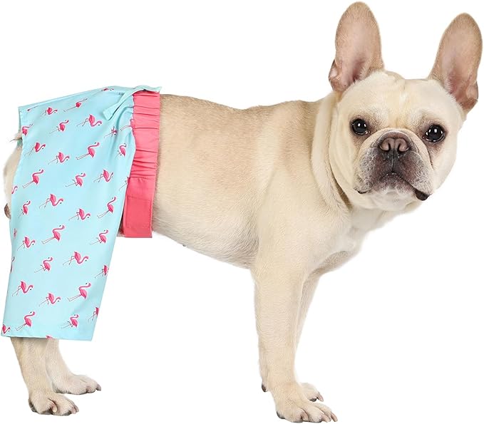 HDE Dog Swim Trunks Hawaiian Board Shorts Beach Pool Swimsuit for XS to XXL Dogs Party Like a Flock Star - M