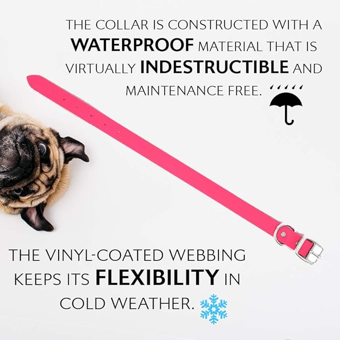Regal Dog Products Small Pink Waterproof Dog Collar and Leash Set | Heavy Duty Double Buckle & D Ring - 5'ft Leash | Adjustable Biothane Dog Collar | Chew Resistant Waterproof Collar for Dogs