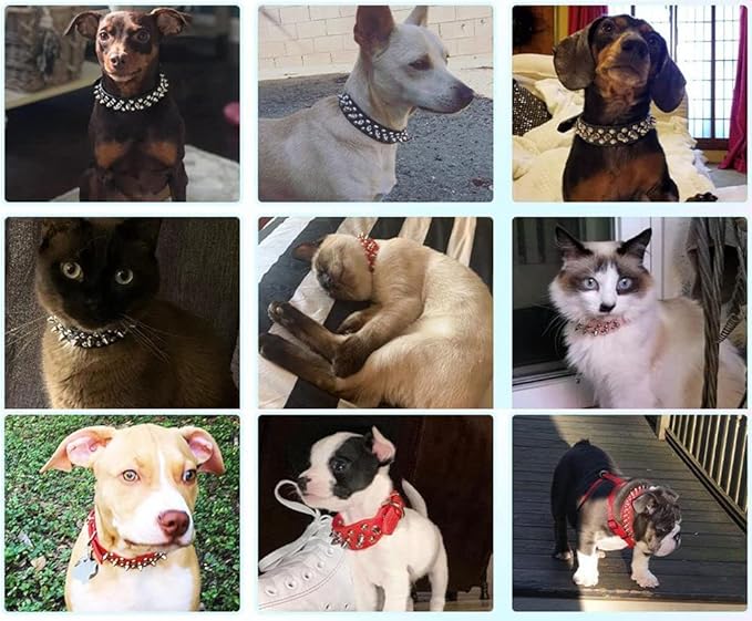 Spiked Dog Collar Soft Pu Leather Mushrooms Rivet Spike Studded Puppy Adjustable Pet Collars for Small Breeds (M, Black Set)