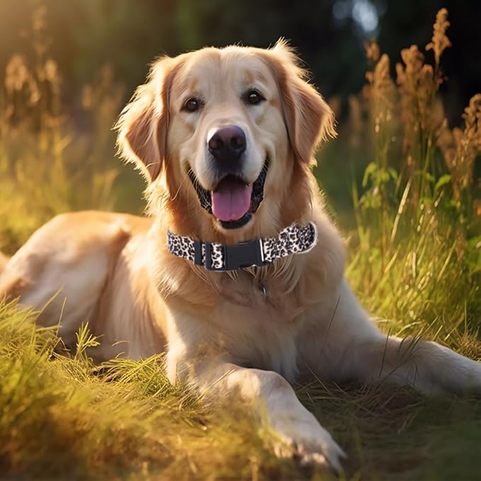 Leopard Dog Collar for Girl Boy Dogs, Adjustable Soft Male & Female Pet Collar for Small Medium Large Dogs (Leopard S)