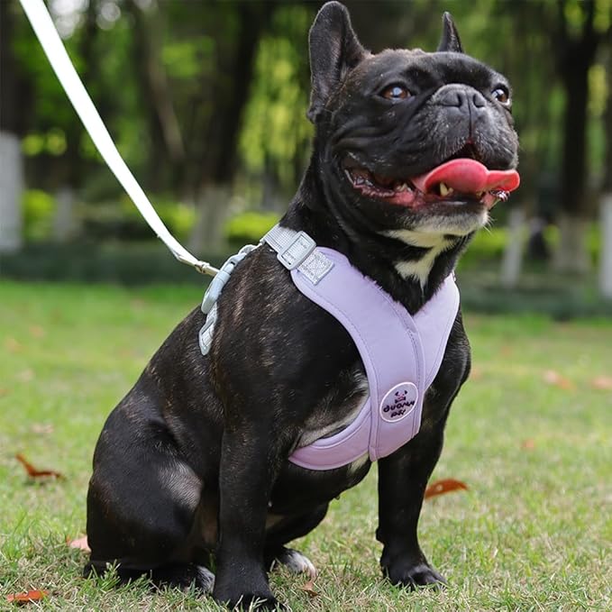 FEimaX Dog Harness Pet X Frame No Pull Step-in Harnesses with Leash Set, Adjustable Reflective Choke Free Puppy with Padded Vest for Small, Medium Dogs and Cats Walking Training