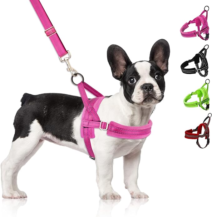 SlowTon No Pull Small Dog Harness and Leash Set, Puppy Soft Vest Harness Neck & Chest Adjustable, Reflective Lightweight Harness & Anti-Twist Pet Lead Combo for Small Medium Dogs(FU,L)