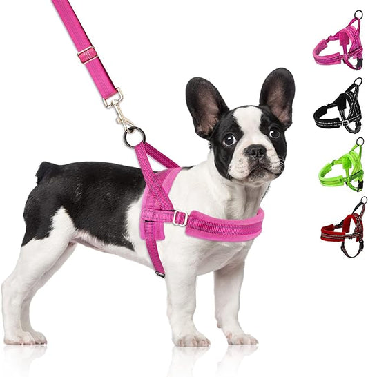 SlowTon No Pull Small Dog Harness and Leash Set, Puppy Soft Vest Harness Neck & Chest Adjustable, Reflective Lightweight Harness & Anti-Twist Pet Lead Combo for Small Medium Dogs(FU,L)