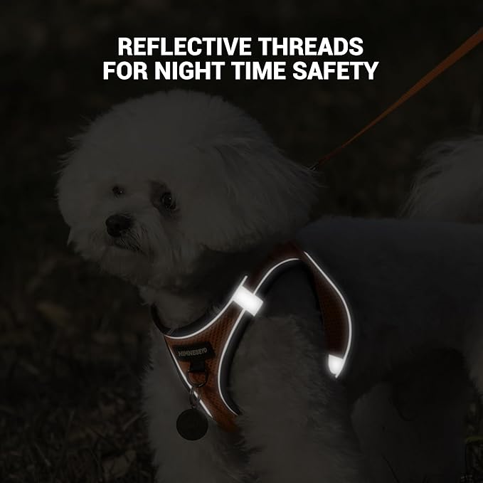 Dog Harness and Leash Set, Dog Harness for Dogs No Pull, No-Chock Step-in Reflective Breathable Lightweight Easy Walk Vest Harnesses with Safety Buckle for Small Medium Dogs, Cats (Orange, S)