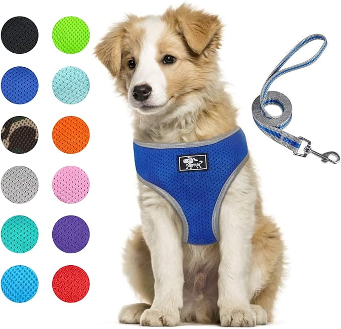 Puppy Harness and Leash Set - Dog Vest Harness for Small Dogs Medium Dogs- Adjustable Reflective Step in Harness for Dogs - Soft Mesh Comfort Fit No Pull No Choke (L, Blue)