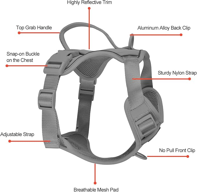 Petmolico Dog Harness for Small Dogs, Cute Harness Vest with Two Leash Clips and Soft Handle, Reflective Easy Walk Puppy Vest - Grey, Medium