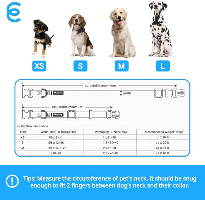 Blueberry Pet Dog Collar - Adjustable Nylon Dog Collars for Medium Dogs | Marinara Blue | Eco-Friendly, Durable, No Chew, Reflective Puppy Collar with D-Ring | Essentials for Active Dogs