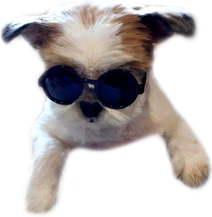 G016 Dog Cat Pet Round Sunglasses Goggles for Small Breed Dogs up to 15lbs (2-Pack Black +White)