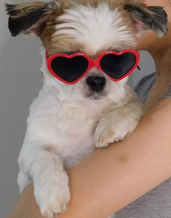 G016 Dog Small Breed up to 15lbs Puppy Cat Pet Heart Tiny Sunglasses (Heart Red)