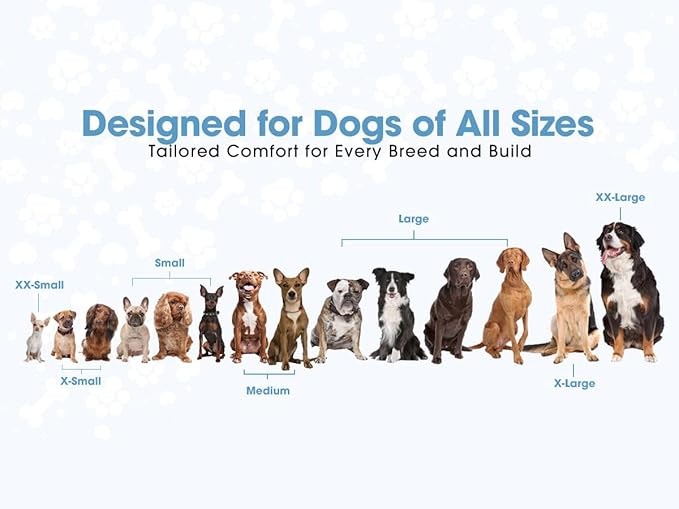 No Pull Reflective Adjustable Dog Harness With Handle- Comfortable Soft All Weather Mesh, Easy On Puppy Harness For Small Medium and Large Dogs (Red) X-Small