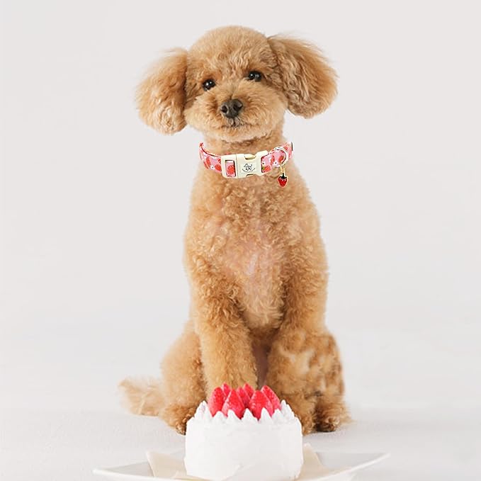 Elegant little tail Dog Collar, Strawberry Pattern Pet Collar Pink Durable Spring Female Spring Collar Adjustable Cotton Pet Collar with Quick Release Buckle for X-Small Puppy