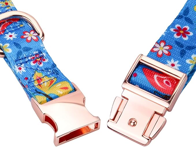 Rhea Rose Ctue Girl Dog Collars Blue Flower and Butterfly Pattern with Metal Buckle for Puppy Small Medium Large Dogs Small