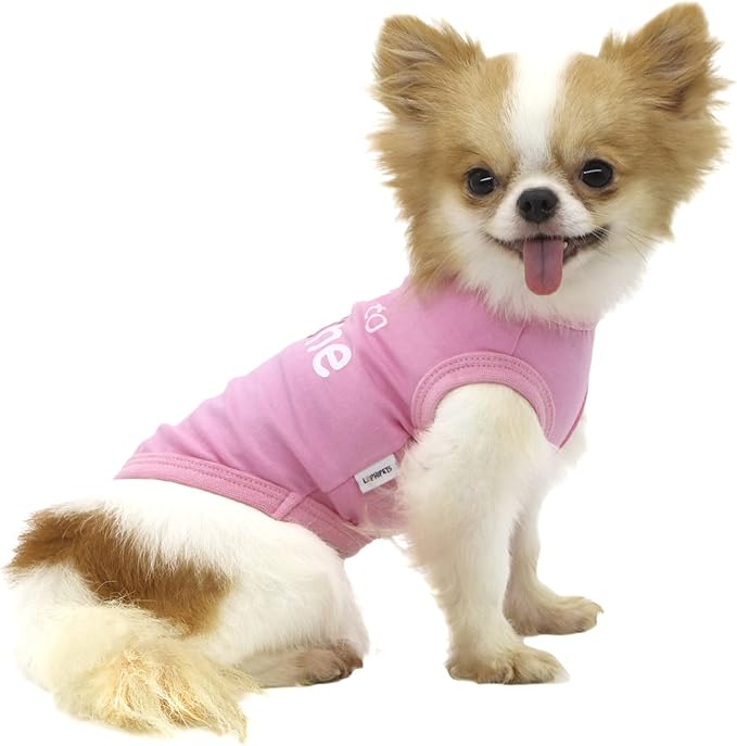 LOPHIPETS Dog I'm Kind to Everyone Letter Print Shirts for Small Dog Bichon Clothes Tee-Pink/XL