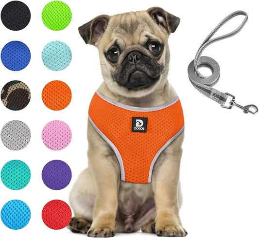 Puppy Harness and Leash Set - Dog Vest Harness for Small Dogs Medium Dogs- Adjustable Reflective Step in Harness for Dogs - Soft Mesh Comfort Fit No Pull No Choke (M, Orange)