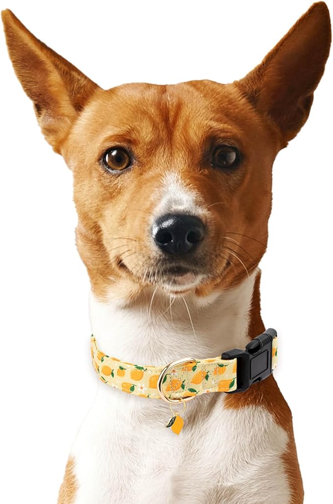 Cotton Dog Collar,Soft and Cute Puppy Collars with Lemon Patterned Design for Girl Female Boy Dogs,Adjustable Buckle Pet Collar for Small Medium Large Dogs (Yellow Lemon, S)