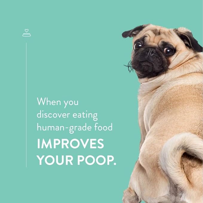 CRAFTED BY HUMANS LOVED BY DOGS Portland Pet Food Company Beef Broth Brew Biscuit Dog Treats (1 Pack, 5 oz Bag) – All Natural, Human-Grade, USA-Sourced and Made