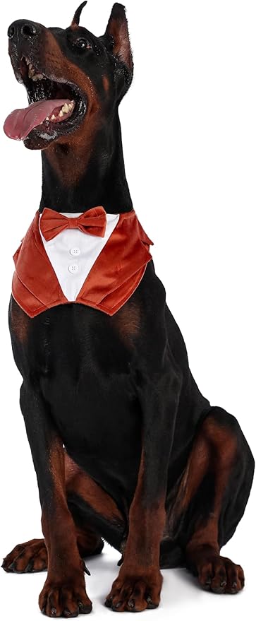 Dog Tuxedo Collar Suit for Wedding Engagement and Birthday, Halloween Formal Tux Bandana Costume with Orange Bow Tie and Adjustable Buckle,Suitable for Medium Pup (Orange, M)