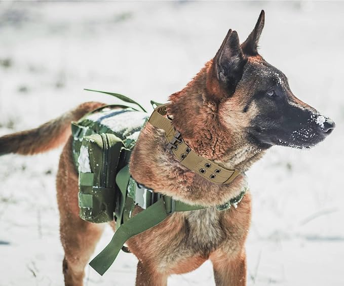 Tactical Dog Collar with Handle - Military Adjustable Dog Training Collar Soft Nylon and Heavy Duty Metal Buckle for Medium Large Dogs - with Patch (Black with Patch, Medium)