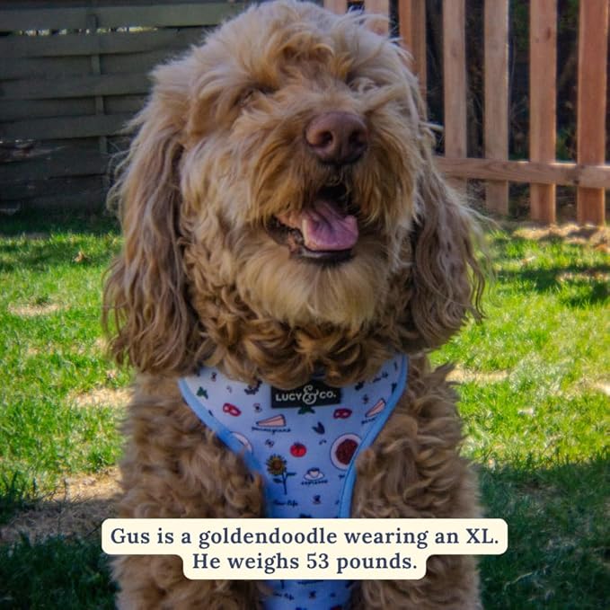 Lucy & Co. Cute Reversible Dog Harness Walking Halter - Best Designer Pet Harnesses for XS - XL Dogs - Padded Adjustable Vest for Easy Walking - Large - Periwinkle Vacation Icons