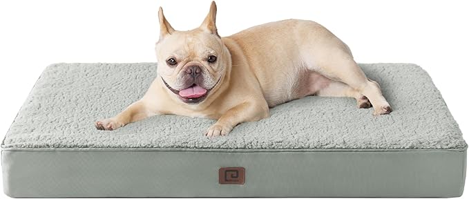 EHEYCIGA Orthopedic Medium Dog Beds for Small Dogs with Removable Washable Cover for Crate, Greyish Green, 30x20