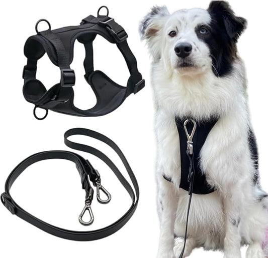 Tito's Closet Small Dog Harness and Leash Set, Soft Neoprene Material, No Pull Dog Harness, Black, Small