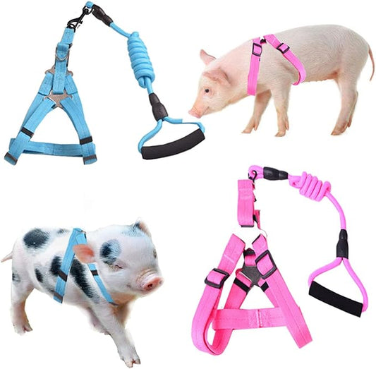 Animal Harness, Medium, Pink and Blue - 2 Pieces Adjustable Harness with Leash Set for Small Pig, Dog, Rabbit Walking, Running and Playing