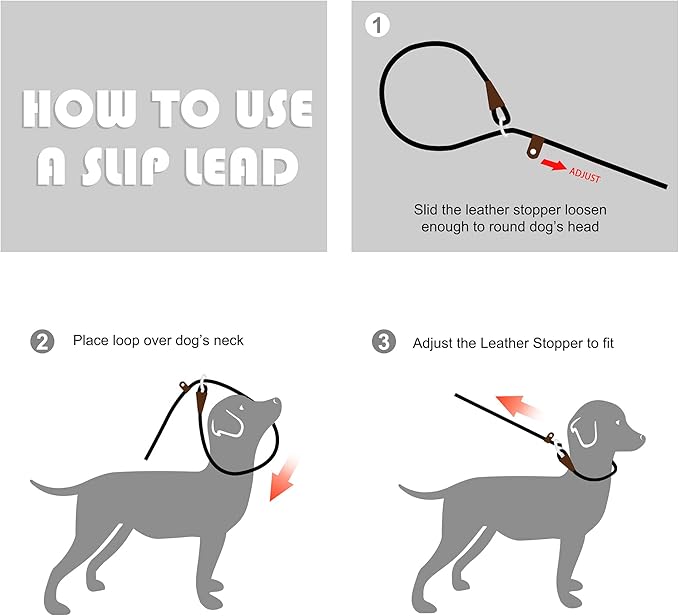 Fida Durable Slip Lead Dog Leash Bulk Pack of 5, Heavy Duty 1/2" x 6 FT Comfortable Strong Rope Slip Leash for Large, Medium Dogs No Pulling Pet Training Leash with Highly Reflective (Orange)